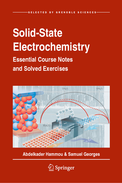 Solid-State Electrochemistry - Abdelkader Hammou, Samuel Georges