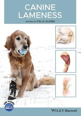 Canine Lameness - 