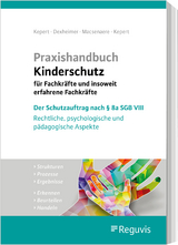 Praxishandbuch Kinderschutz für Fachkräfte und insoweit erfahrene Fachkräfte - Jan Kepert, Andreas Dexheimer, Michael Macsenaere, Susanne Kepert