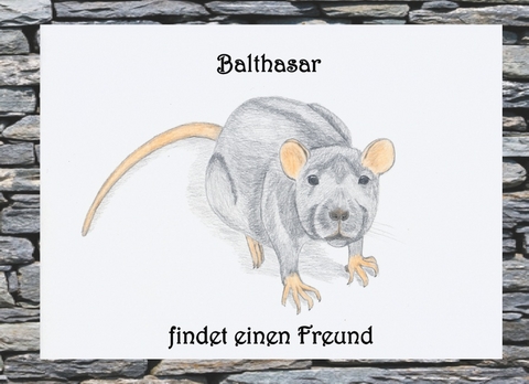 Balthasar findet einen Freund - Jasmin Wimmer