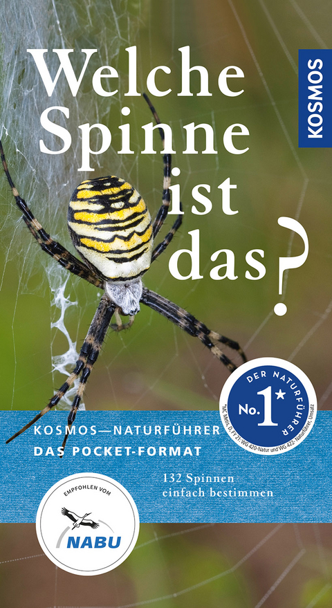 Welche Spinne ist das? - Martin Baehr