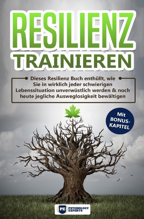 Resilienz trainieren - Psychology Experts