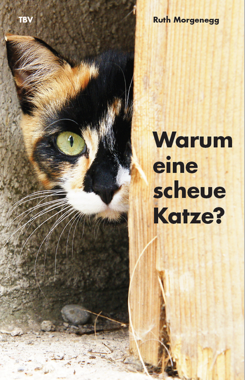 Warum eine scheue Katze? - Ruth Morgenegg