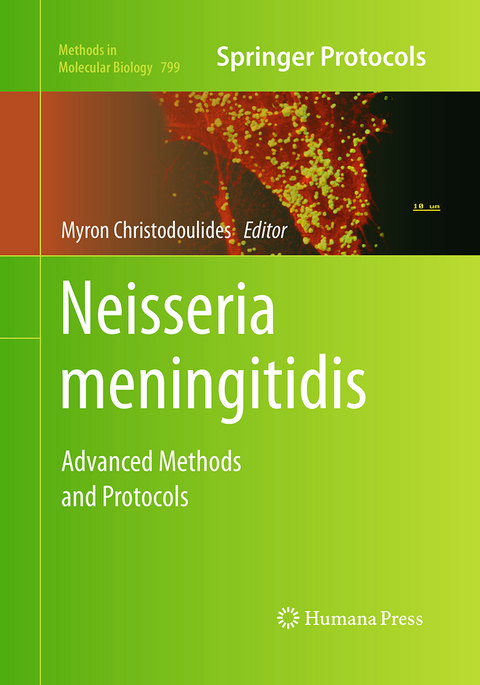 Neisseria meningitidis - 