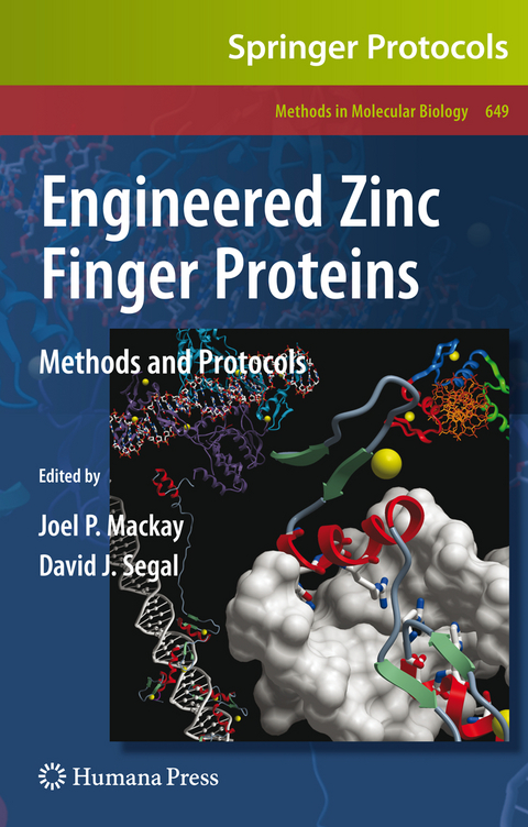 Engineered Zinc Finger Proteins - 