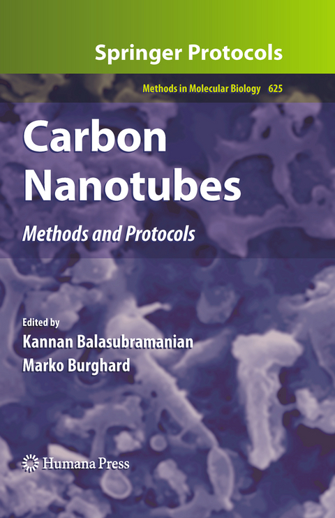 Carbon Nanotubes - 