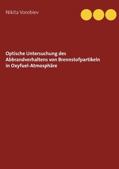 Optische Untersuchung des Abbrandverhaltens von Brennstoffpartikeln in Oxyfuel-Atmosphäre - Nikita Vorobiev