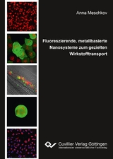 Fluoreszierende, metallbasierte Nanosysteme zum gezielten Wirkstofftransport - Anna Meschkov