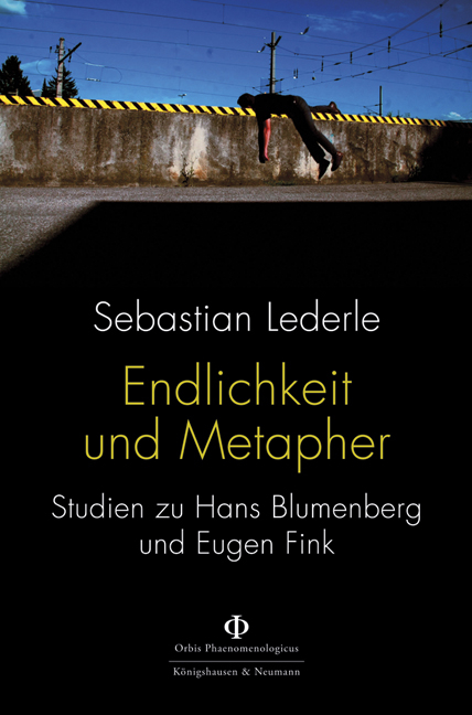 Endlichkeit und Metapher - Sebastian Lederle