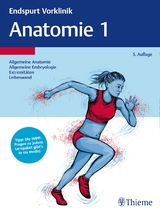 Endspurt Vorklinik: Anatomie 1 - 