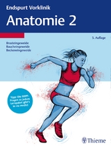 Endspurt Vorklinik: Anatomie 2 - 