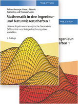 Mathematik in den Ingenieur- und Naturwissenschaften 1 - Ansorge, Rainer; Oberle, Hans J.; Rothe, Kai; Sonar, Thomas