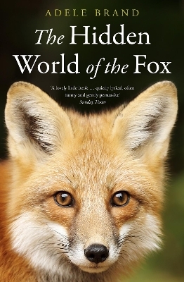 The Hidden World of the Fox - Adele Brand