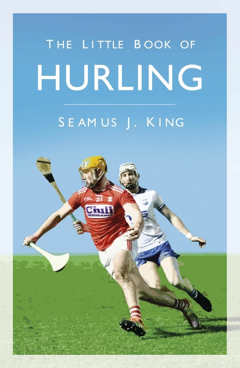 The Little Book of Hurling - Seamus J. King