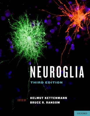 Neuroglia - 