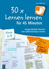 30 x Lernen lernen für 45 Minuten – Klasse 1-4 - Nina Wilkening