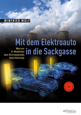 Mit dem Elektroauto in die Sackgasse - Wolf, Winfried