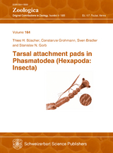 Tarsal attachment pads in Phasmatodea (Hexapoda: Insecta) - 