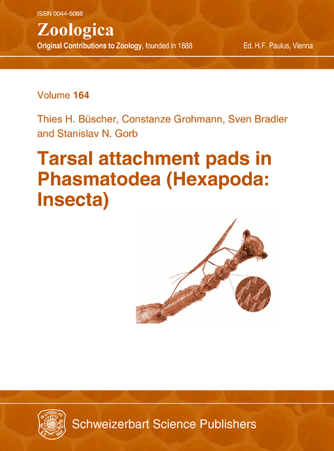 Tarsal attachment pads in Phasmatodea (Hexapoda: Insecta) - 