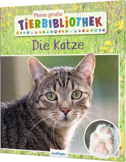 Meine große Tierbibliothek: Die Katze - Stéphanie Ledu-Frattini