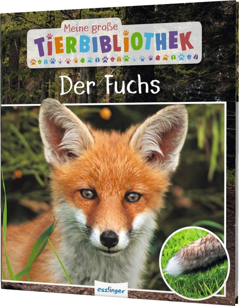 Meine große Tierbibliothek: Der Fuchs - Christian Havard