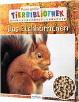 Meine große Tierbibliothek: Das Eichhörnchen - Stéphanie Ledu-Frattini