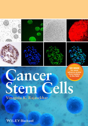 Cancer Stem Cells - Vinagolu K. Rajasekhar