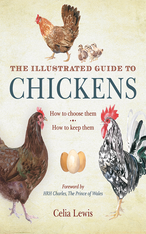 Illustrated Guide to Chickens -  Celia Lewis