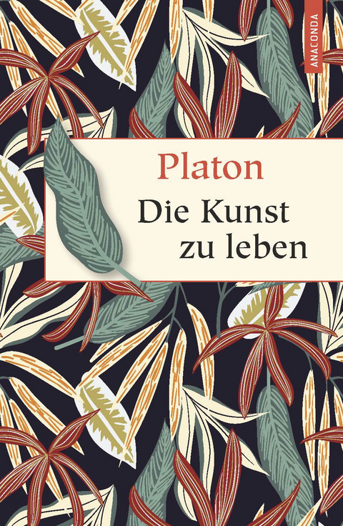 Die Kunst zu leben -  Platon