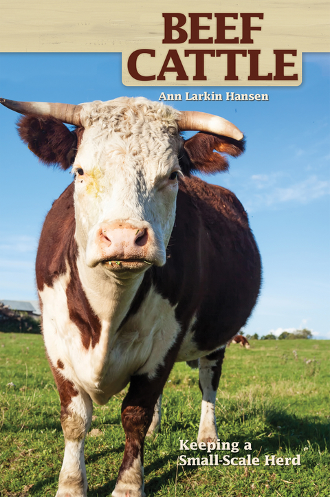 Beef Cattle - Ann Larkin Hansen