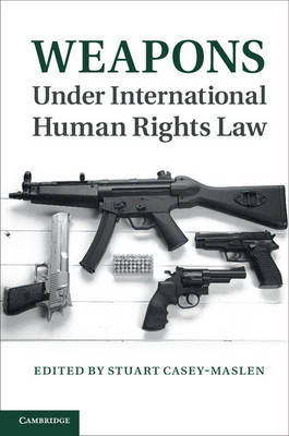 Weapons under International Human Rights Law - 