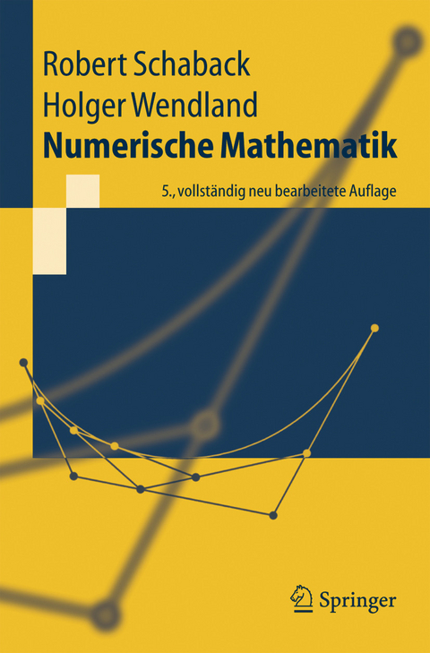 Numerische Mathematik -  Robert Schaback,  Holger Wendland