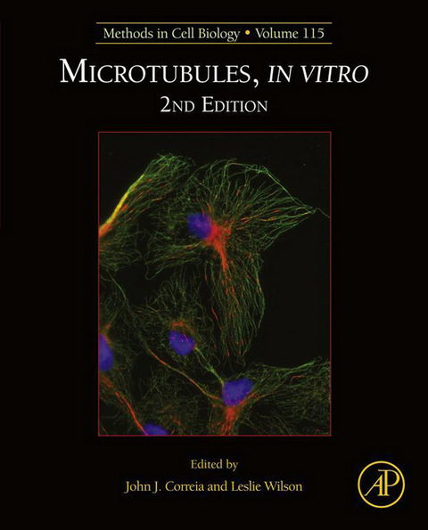 Microtubules, in vitro - 