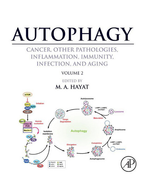 Autophagy: Cancer, Other Pathologies, Inflammation, Immunity, Infection, and Aging - 