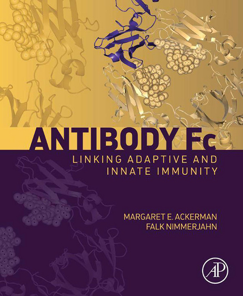 Antibody Fc - 