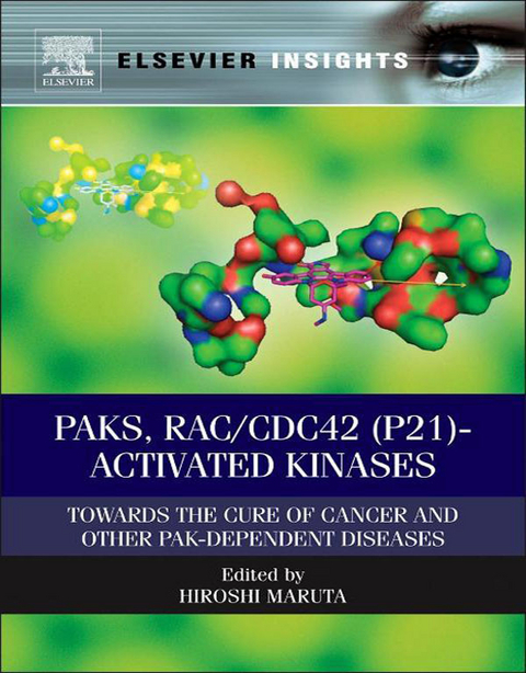 PAKs, RAC/CDC42 (p21)-activated Kinases - 