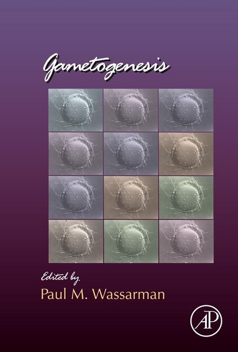 Gametogenesis - 