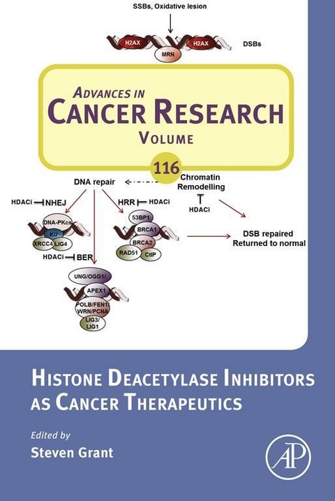 Histone Deacetylase Inhibitors as Cancer Therapeutics - 