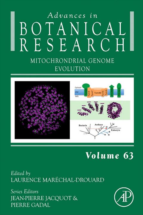 Mitochondrial Genome Evolution - 