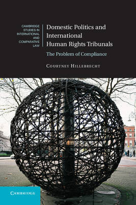 Domestic Politics and International Human Rights Tribunals -  Courtney Hillebrecht