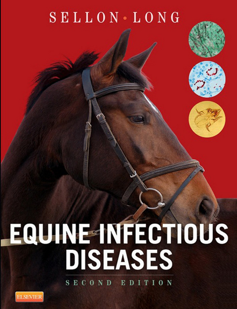 Equine Infectious Diseases E-Book - 