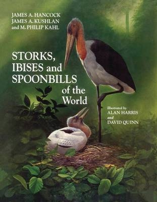 Storks, Ibises and Spoonbills of the World -  James A. Kushlan,  James Hancock,  M. Philip Kahl