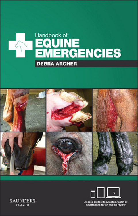 Handbook of Equine Emergencies -  Debra Catherine Archer