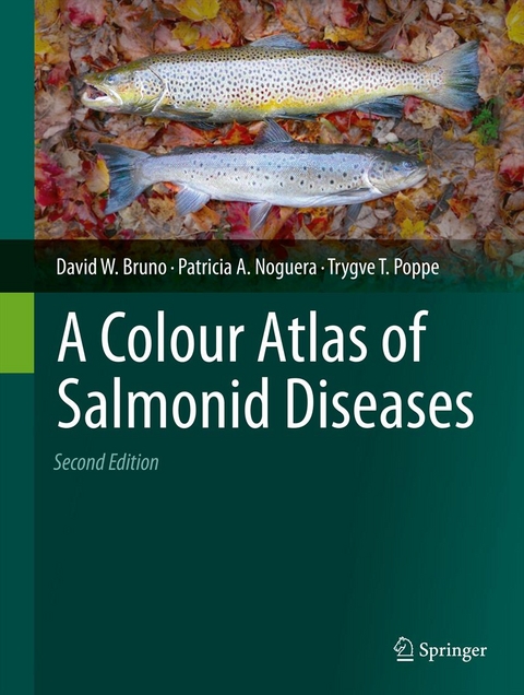 A Colour Atlas of Salmonid Diseases - David W. Bruno, Patricia A. Noguera, Trygve T. Poppe