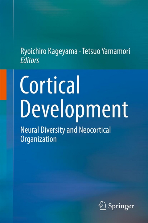 Cortical Development - 