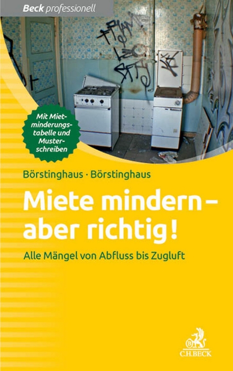 Miete mindern - aber richtig! - Ulf P. Börstinghaus, Cathrin Börstinghaus