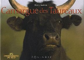 Camargue des taureaux - Henry AUSLOOS