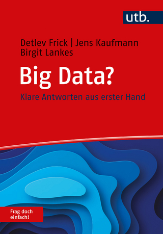 Big Data? - Detlev Frick; Jens Kaufmann; Birgit Lankes