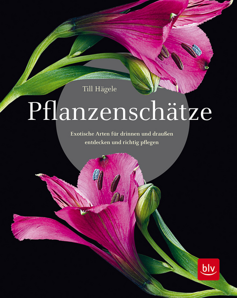 Pflanzenschätze - Till Hägele