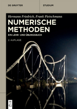 Numerische Methoden - Hermann Friedrich, Frank Pietschmann